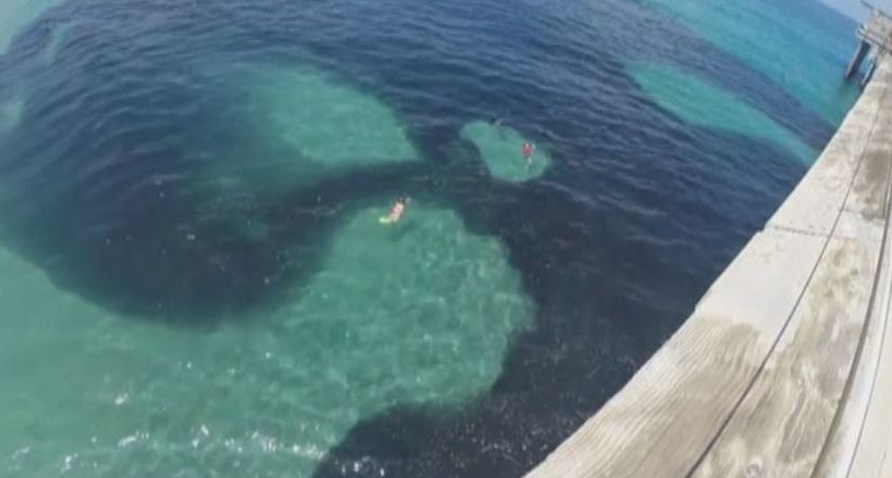 Відео: феноменально величезний косяк риб, який люди сплутали з нафтовою плямою