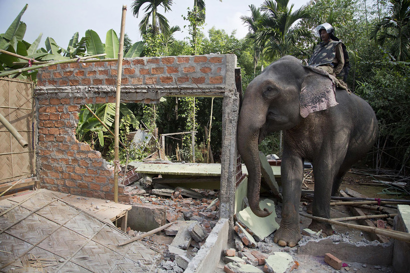 Слони замість бульдозерів: як в Індії зносять незаконні житла