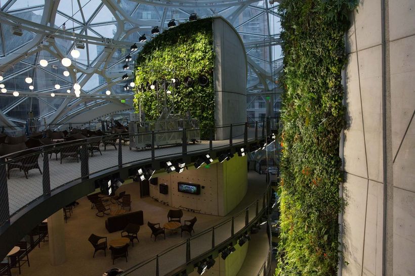 Amazon відкрив новий офіс, де росте справжній ліс