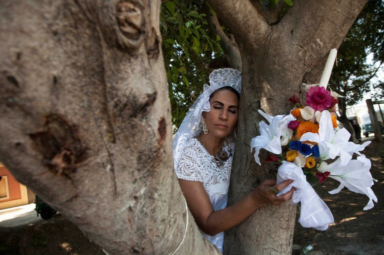 Навіщо мексиканські жінки вийшли заміж за дерева