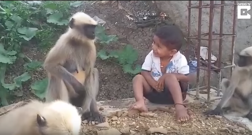 Відео: Індійський хлопчик, якого місцеві жителі вважають втіленням бога мавп