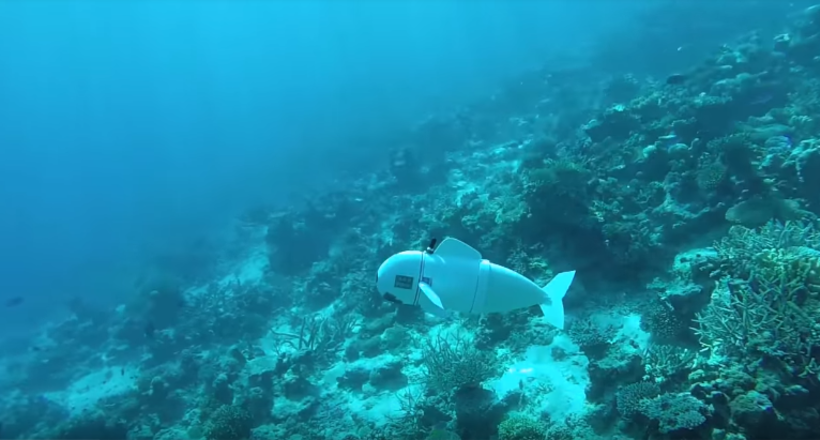 Відео: Риба-робот шпигує за мешканцями морів, і її приймають за свого