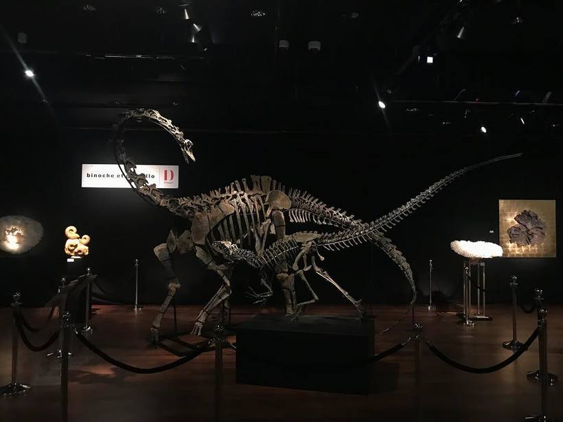 Скільки коштує динозавр: на паризькому аукціоні продали два скелети динозаврів