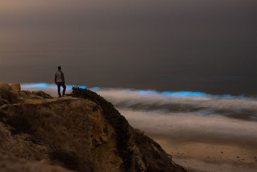 Коли диво поруч: море біля берегів Каліфорнії стало червоним, а вночі світиться блакитним