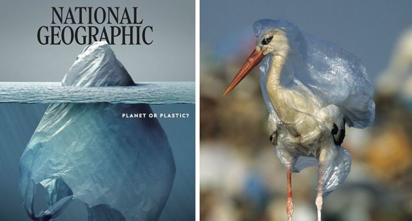 Вийшов новий випуск National Geographic з обкладинкою, що сколихнула громадськість