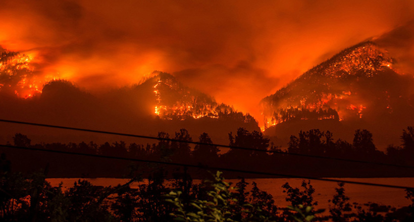Український підліток підпалив ліс в Орегоні і тепер заплатить штраф $37 млн
