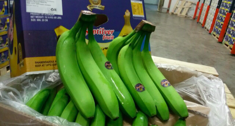 Газационная камера: банани привозять зеленими і обробляють перед продажем 