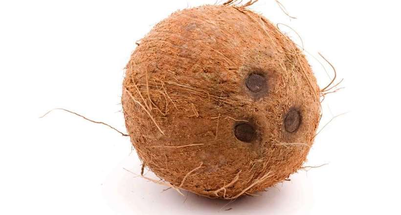 Звідки на плодах три темні плями і інші цікаві факти про кокосовому горісі