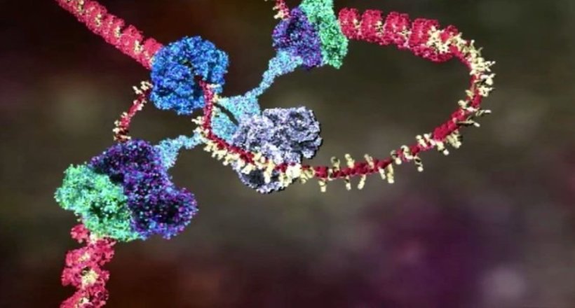 Відео: Вчені створили неймовірну анімацію, яка показує, як працює ДНК
