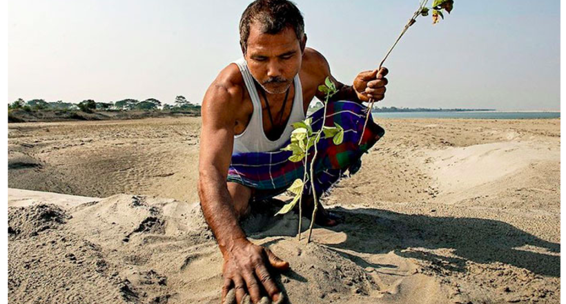 40 років кожен день чоловік садить на острові дерева, рятуючи його від зникнення 