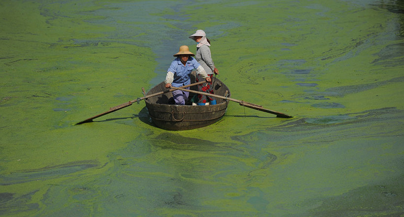 У Китаї озеро стало зеленим