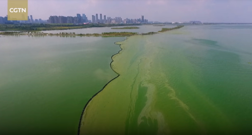 Відео: У Китаї вода озера Чаоху стала смарагдово-зеленої