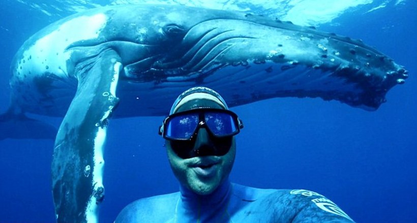 Фото року: дайвер зробив селфи з горбатим китом