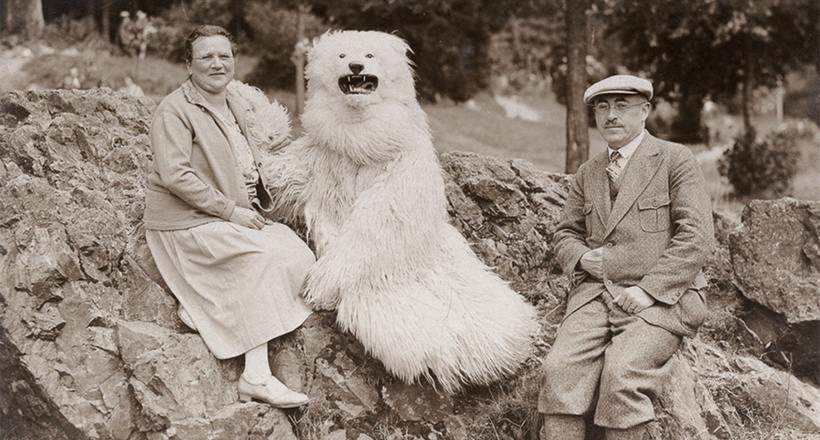 Ведмедик Тедді: дивна колекція фотографій німців з величезними білими ведмедями