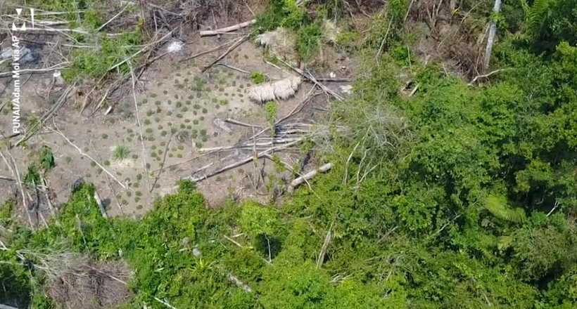 Унікальне відео: вперше в історії дрон зняв дике плем'я в лісах Бразилії