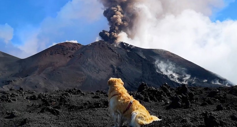 Відео: Найвищий вулкан Європи-Етна почав виверження 