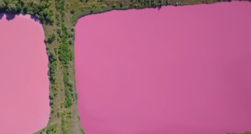 Відео: Два озера в Самарській області забарвилися в яскраво-рожевий колір
