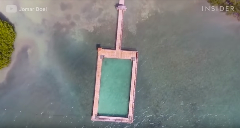 Відео: Дивовижний басейн Пуерто-Ріко, розташований прямо в океані 