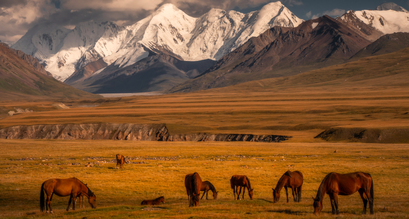 Голландський фотограф побачив багато чого, але по-справжньому його приголомшила Киргизія
