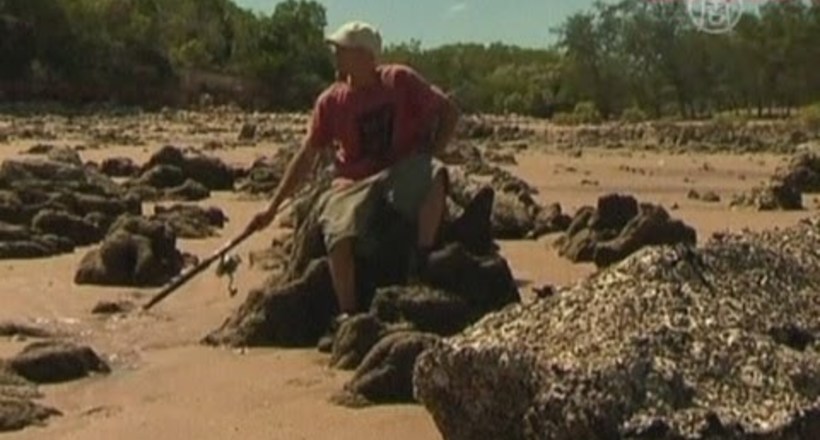 Відео: Турист провів два тижні на безлюдному острові в полоні у крокодила
