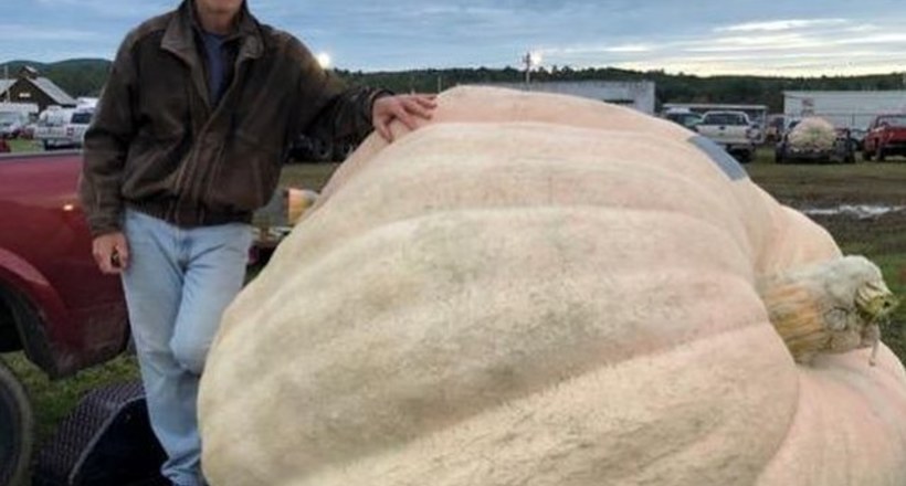 У США виростили гігантський гарбуз, яка важить більше тонни