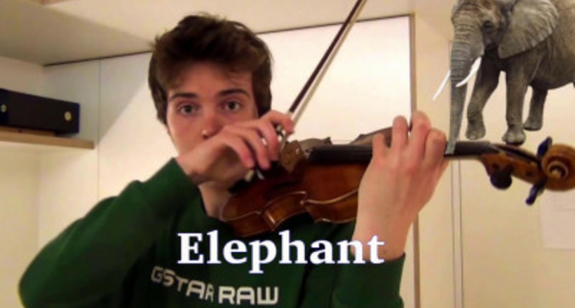 Відео: Хлопець показав, що його скрипка може видавати звуки різних тварин