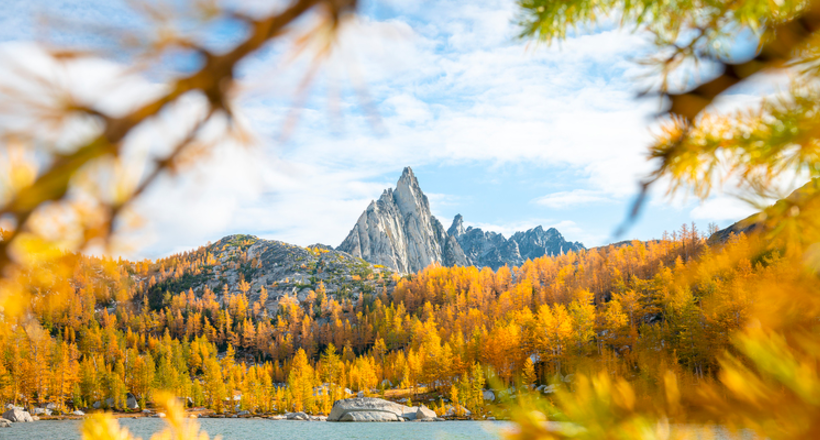 20 атмосферних фото, після яких ви почнете більше любити осінь