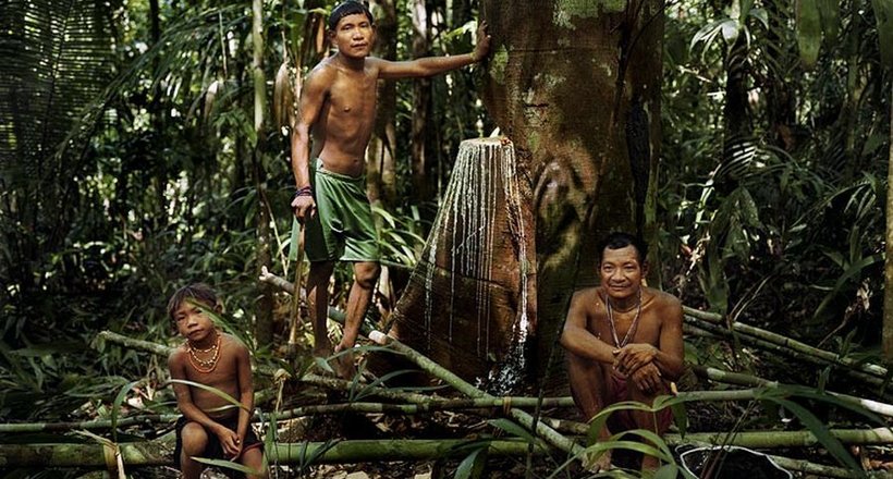 Відео: Піраха — найщасливіший плем'я, яке не спить
