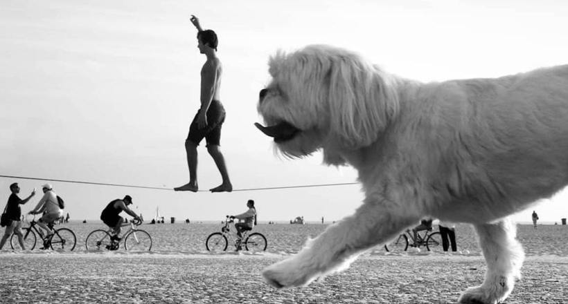 Фотограф використовує перспективу, щоб перетворити звичайні пляжі в країну велетнів 