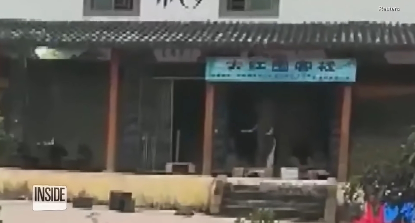 Відео: У Китаї слон забрався в готель, щоб поласувати апельсинами і кукурудзою