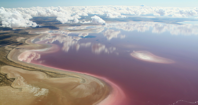 Краса зникає озера Ейр в Австралії