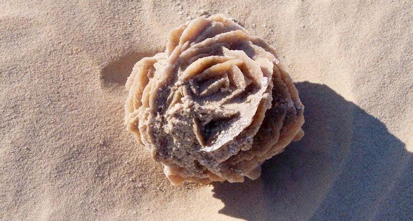 «Троянди пустелі»: як в Сахарі утворюються кам'яні квіти