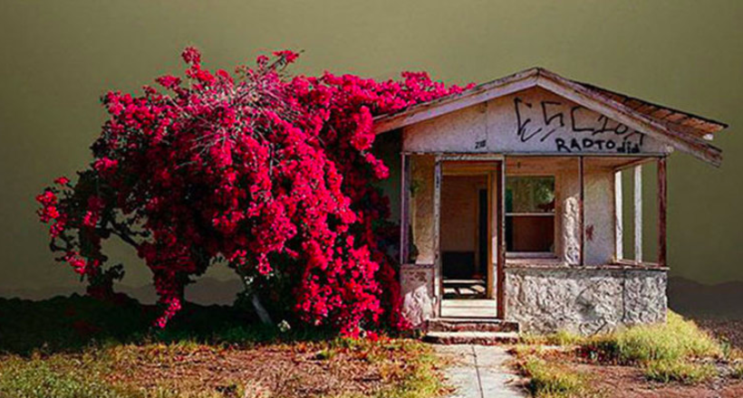 Самотня Каліфорнія: фотограф знімає забуті куточки сонячного штату
