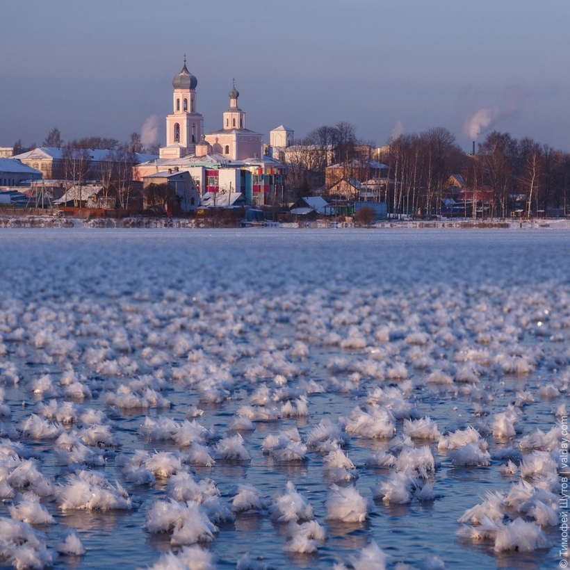 Озеро в Новгородській області вкрилася квітами з крижаних кристалів