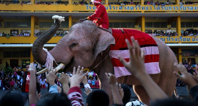 Відео: У Таїланді Санта-Клаус роздає подарунки з допомогою слонів