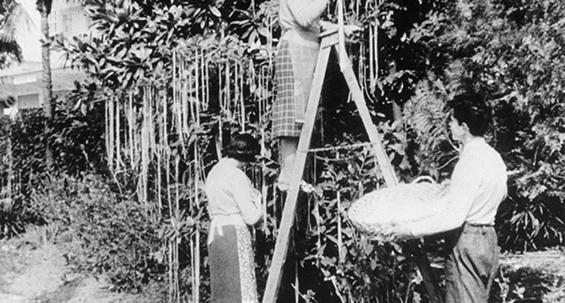 Відео: Навіщо в 1957-му в британських новинах показали, що спагетті ростуть на деревах