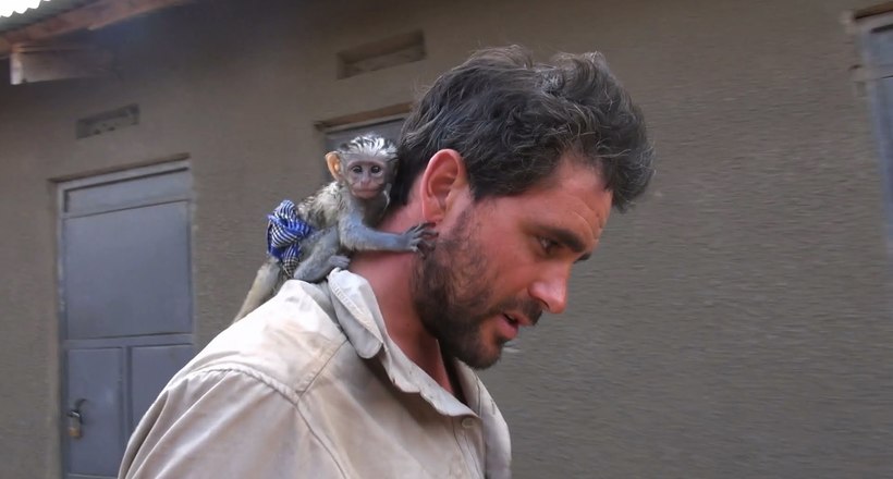 Відео: Чоловік врятував мавпочку від сильної лісової пожежі в Африці