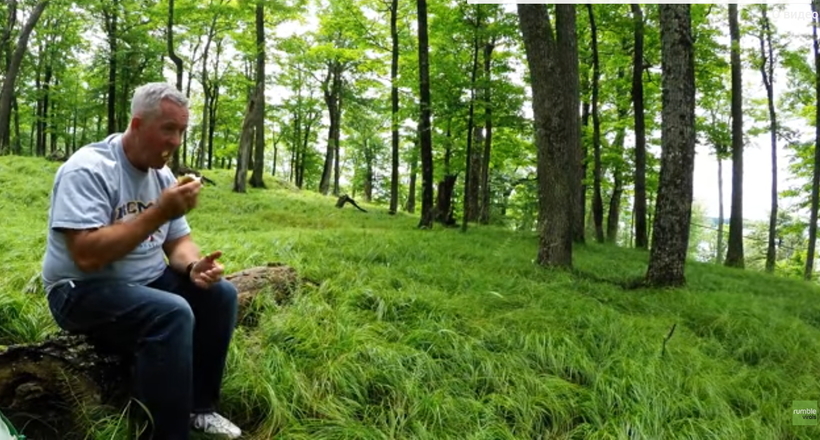 Відео: Чоловік присів у лісі, щоб пообідати, але раптово його почали оточувати звірі