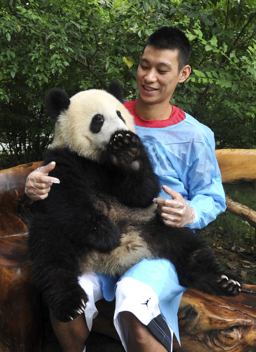 Обнімашки з пандами і ще 14 незвичайних занять у подорожах для любителів тварин