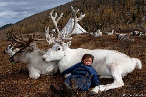 Унікальні знімки повсякденного життя племені оленярів, що проживає в Монголії
