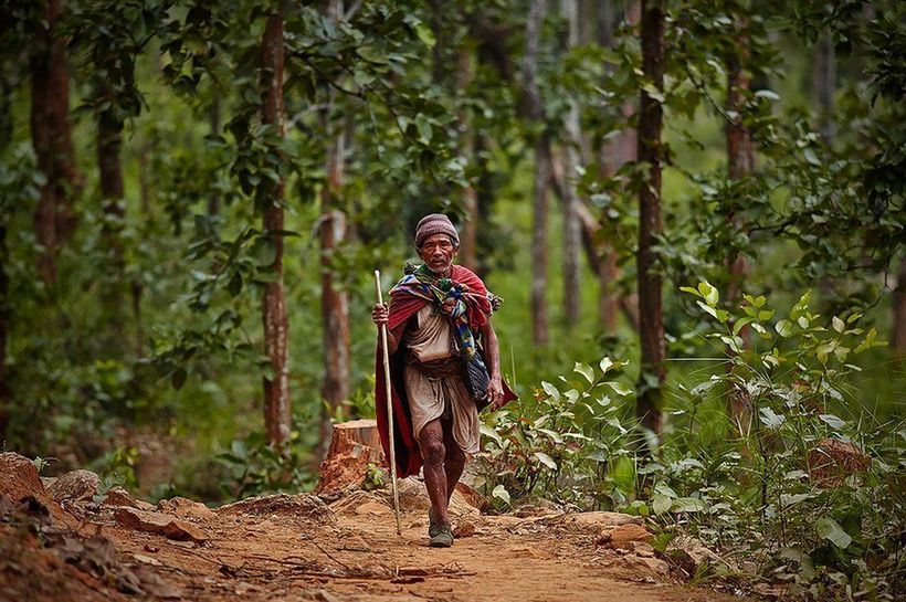 Останні кочівники: рауті первісне плем'я, яке живе в горах Непалу