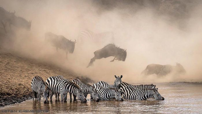 Переможці та кращі фото з Instagram-конкурсу National Geographic 