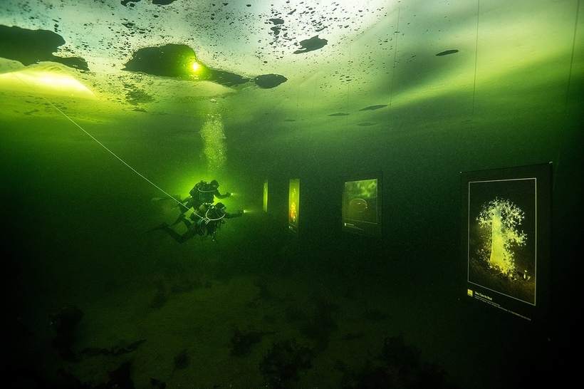 У Білому морі відкрилася унікальна виставка фотографій під льодом