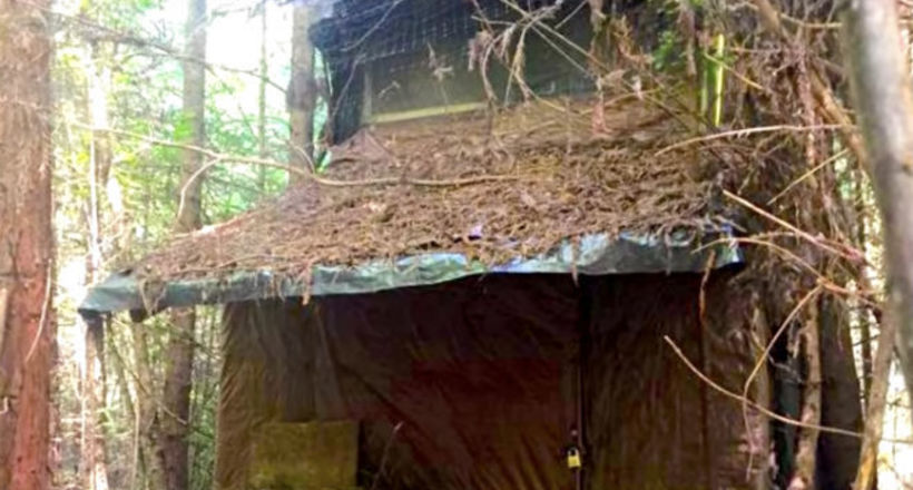 Відео: Лісник випадково натрапив на загадкову хатину в лісі