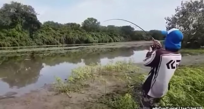 Відео: Рибалка витягнув разом з уловом 4-метрового крокодила