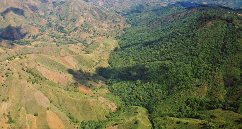 Чому на заході острова Гаїті ліс не росте, а на сході густі тропіки