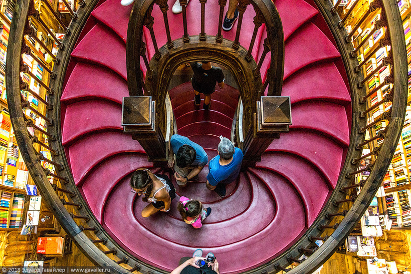 Livraria Lello — найкрасивіший книжковий магазин в світі