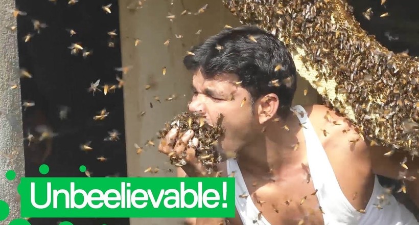 Відео: Індієць влаштовує небезпечні «ігри» з бджолами, набиваючи ними рот і ховаючи під одяг