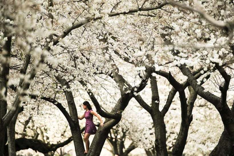Від Азії до Америки: 12 яскравих фотографій про те, що весна нарешті прийшла
