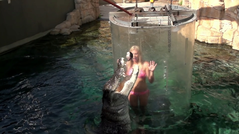 Відео: Приголомшливі ефектні «польоти» крокодилів в сповільненій зйомці 